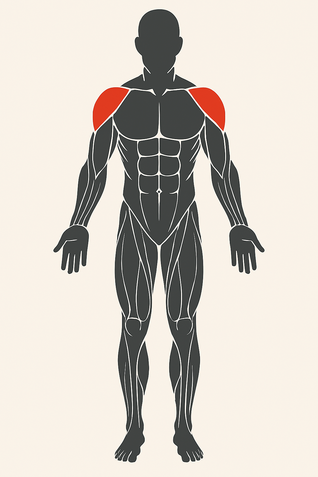 Ilustración de ejercicios para hombros.